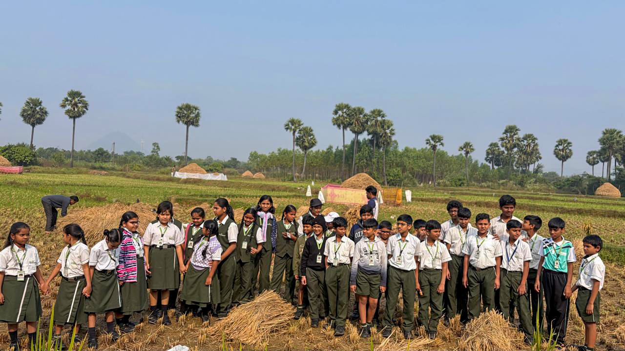 HighFields students visiting a paddy field